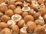 Champignons, braun