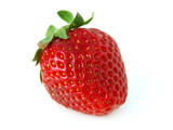 Erdbeere