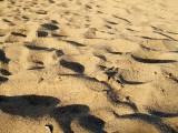 Bundestagswahl 2009 - In den Sand gesetzt