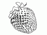 Erdbeere "Strichzeichnung"