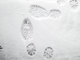Schuhabdrücke im Schnee