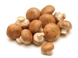 Champignons, Steinchampignons