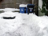 Winter - Weg zu den Tonnen