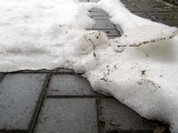 Schneereste im Hof