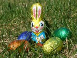 Osterhase und Ostereier im Gras