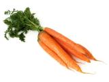 Karotten, Karotte