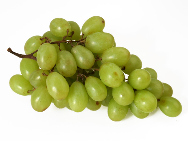 Weintraube grün