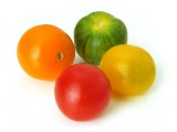 4 bunte Tomaten, rot, gelb, grün und orange