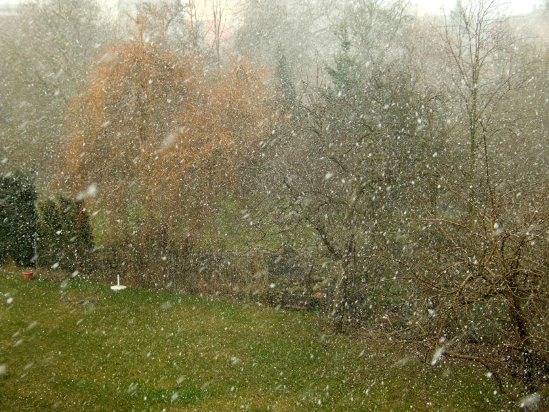 Hinterhof im März – Schnee