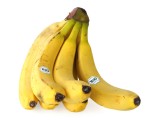 BIO-Bananen
