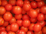 Viele Tomaten