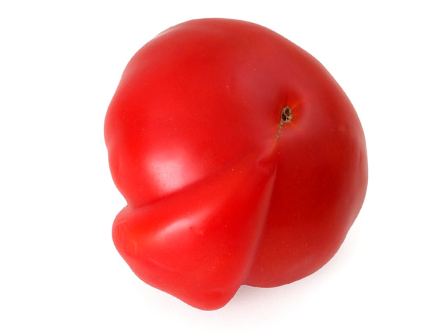 Tomate mit Beule