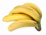 Bananen stehend