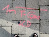 Erdarbeiten in Schwerin - Markierungen auf der Straße
