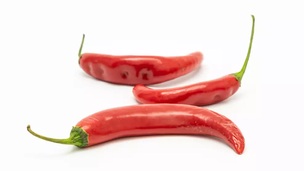 Peperoni – Chilischoten (rot)