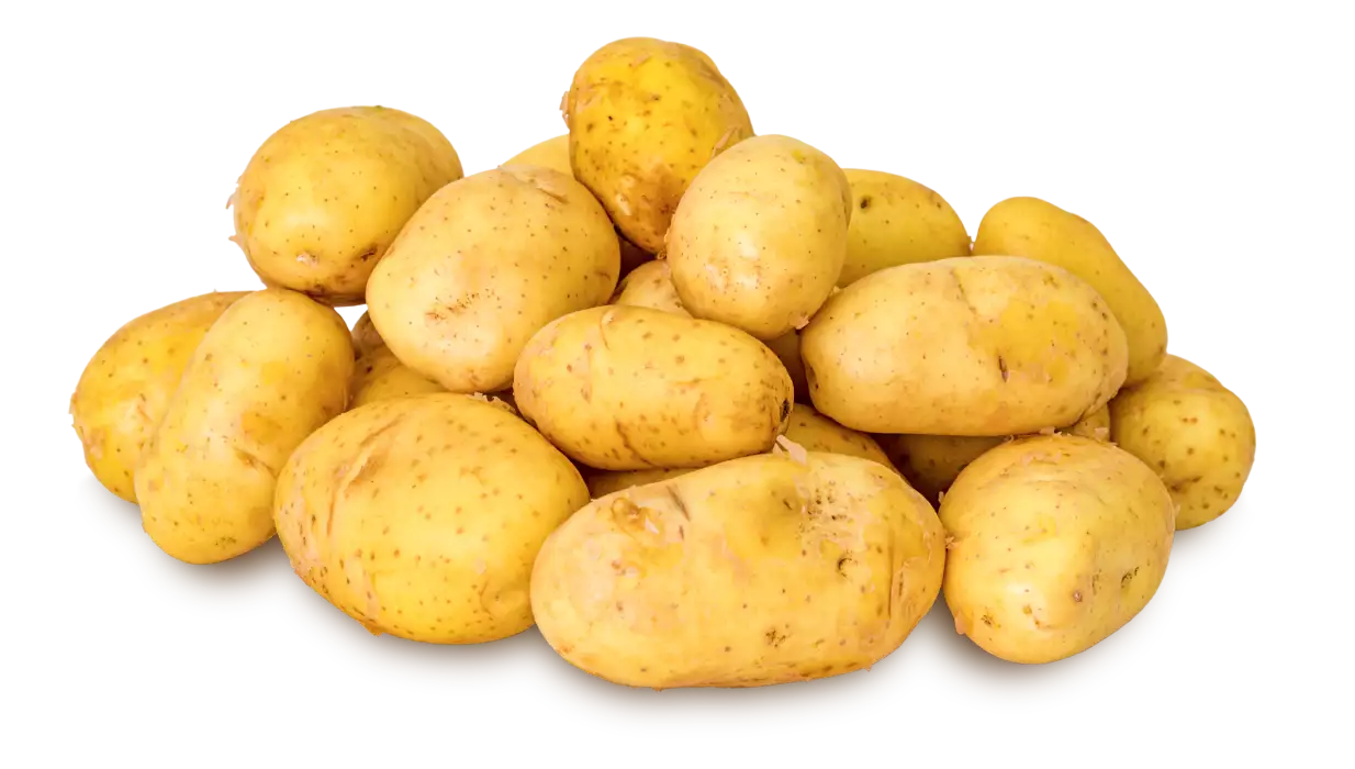 Mehrere Kartoffeln